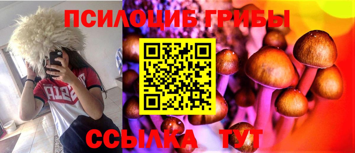 Галлюциногенные грибы прущие грибы Миллерово