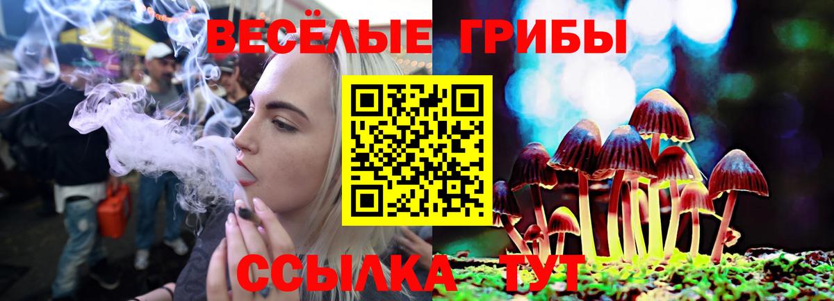 Псилоцибиновые грибы Psilocybe  Вход с VPN  наркота  Галлюциногенные грибы Magic Shrooms  Миллерово 
